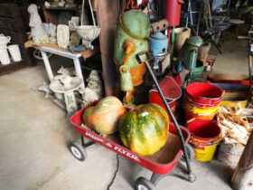 ガーデニング用品・小物の紹介