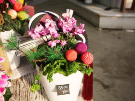 スタッフ作の寄せ植えたちの紹介