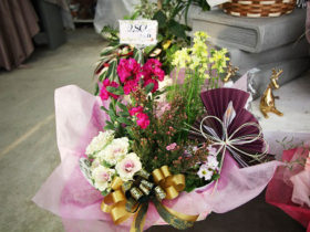 スタッフ作の寄せ植えたちの紹介