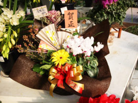 スタッフ作の寄せ植えたちの紹介