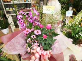 スタッフ作の寄せ植え