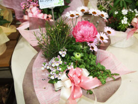スタッフ作の寄せ植え