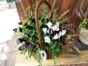 スタッフ作の寄せ植え