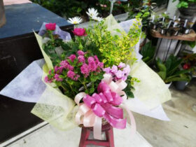 スタッフ作の寄せ植え