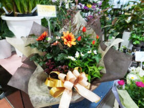 スタッフ作の寄せ植え