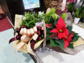 スタッフ作の寄せ植え