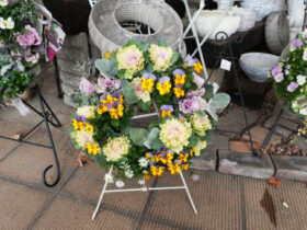 スタッフ作の寄せ植え