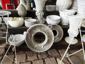 スタッフ作の寄せ植え