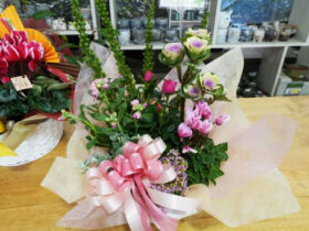 スタッフ作の寄せ植え