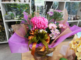 スタッフ作の寄せ植え