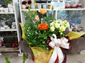 スタッフ作の寄せ植え