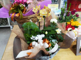 スタッフ作の寄せ植え