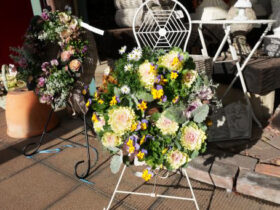 スタッフ作の寄せ植え