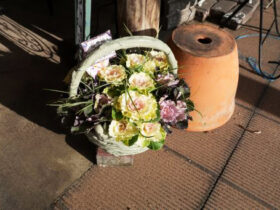 スタッフ作の寄せ植え