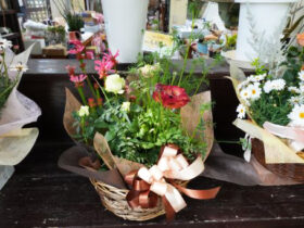 スタッフ作の寄せ植え