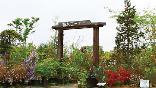 岡山の園芸店、外構・エクステリア施行・庭園のための植木を販売