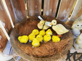 ガーデニング用品・小物の紹介