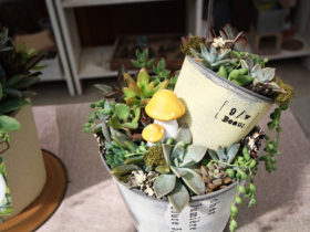 母の日ギフト
