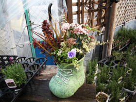 スタッフ作の寄せ植え