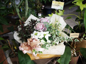 スタッフ作の寄せ植え
