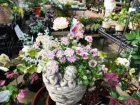 スタッフ作の寄せ植え