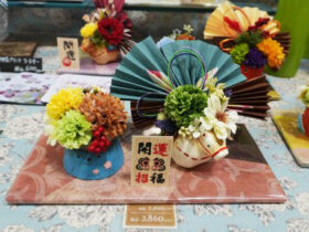 １２月入荷中の花苗の紹介