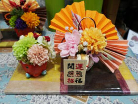 １２月入荷中の花苗の紹介