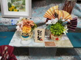 １２月入荷中の花苗の紹介