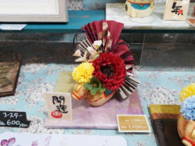 １２月入荷中の花苗の紹介